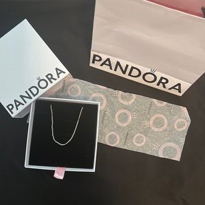 Pandora Jewelry: Curb Chain Necklace